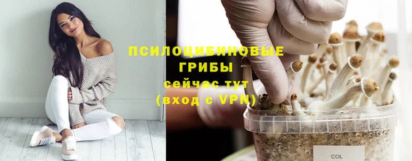 бутират Карпинск